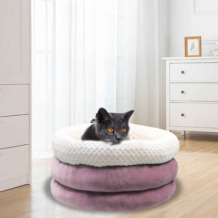 Discover the Ultimate Comfort for Your Furry Friend