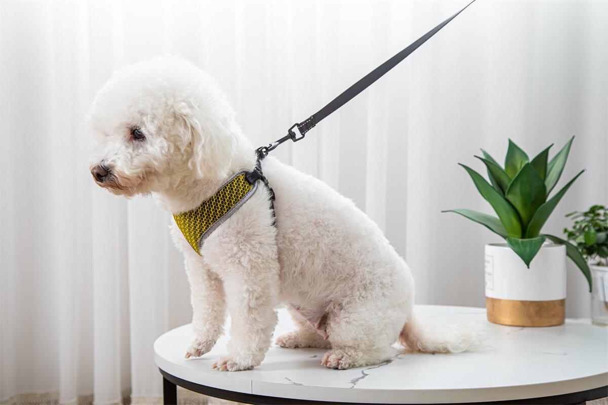 Why Every Pet Owner Needs the Pet Vest Style Walking Harness With Leash Set