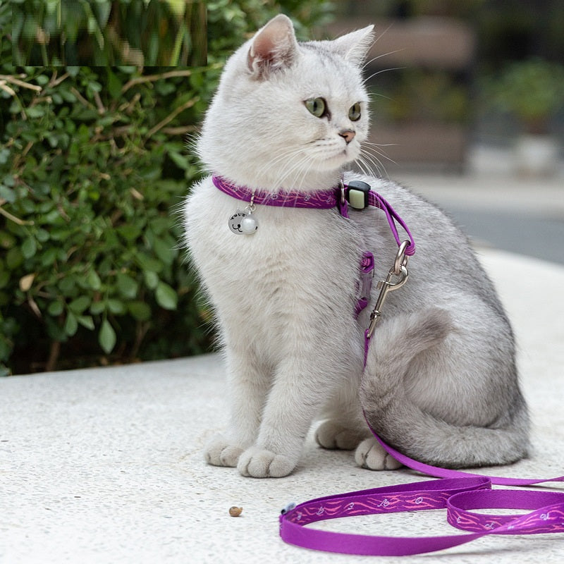 The Perfect Companion for Your Furry Friend: Pet Bell Chest Strap Vest Leash