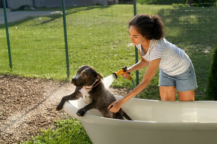 Importance Of Pet Bath Supplies For Healthy Pets