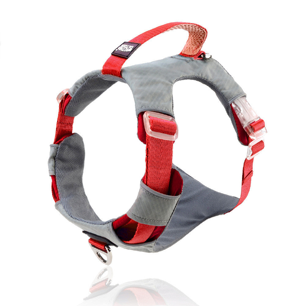 457ffa6ff29e2fe998e7a3f07221e0a3